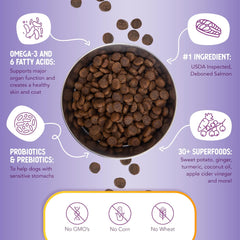 Health Extension Grain Free Salmon & Sweet Potato Dry Dog Food (10 lb / 4.54 kg) - Whole Foods Ingredients Formula with Omega 3 & Antioxidants for All Life Stages Dogs