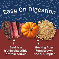 Natural Balance Health Protection Wet Dog Food - Whole Body Health, Easy on Digestion, Beef, Pumpkin & Brown Rice Stew, Digestive Wellness Dog Food, High in Fiber - 12.5oz (Case of 6)