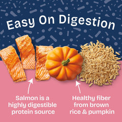 Natural Balance Health Protection Wet Dog Food - Whole Body Health, Easy on Digestion, Salmon Broth, Salmon, Pumpkin & Brown Rice Stew, Digestive Wellness Dog Food, High in Fiber - 12.5oz (Case of 6)