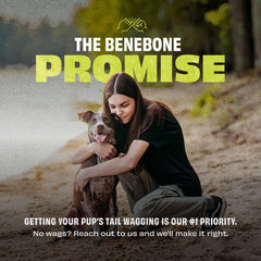 BENEBONE DOG BOUNCE RUBBER BONE MEDIUM