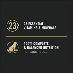 Purina Pro Plan Canned Dog Food, Sensitive Skin & Stomach Salmon & Rice, 13 oz, 12 Pack