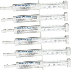 Bene-Bac Plus 6 Pack Gel, 15g Syringe 6 -Pack