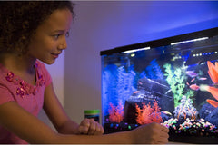 GloFish Volcano Ornament for Aquariums, 2.38 x 3.31 x 3.44 inches, Mulit, Medium, Model: 75077301