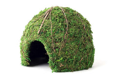 Galápagos Mossy Dome Hide, Vined