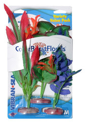 Blue Ribbon Pet Products Colorburst Florals Betta Plants Variety Pack