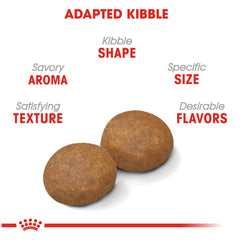 Royal Canin Large Adult 5+ Dry Dog Food for Older Dogs