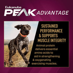 Eukanuba Premium Performance 30/20 Sport Dry Dog Food