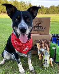 Redbarn Braided Bully Sticks for Dogs - Natural, Grain-Free, Highly Palatable, Long-Lasting Dental Chews Sourced from Free-Range, Grass-Fed Cattle