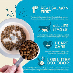 Earthborn Holistic Wild Sea Catch - Grain Free Dry Cat Food Salmon and Vegetables