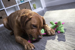 goDog Bubble Plush Skinny Dragons Squeaky Plush Dog Toy, Chew Guard Technology - Green