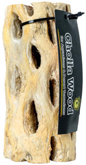 Galápagos (05271) Cholla Wood - Natural Aquarium & Terrarium Decoration for Fish Tanks, Reptile Tanks, and Bird Perches, Natural