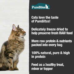 Freeze Dried Cat Treats, Minnow,