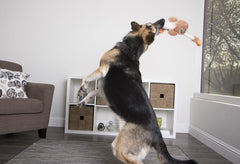 goDog Checkers Skinny Rooster Squeaky Plush Dog Toy, Chew Guard Technology - Brown