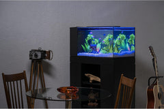 GloFish Accent Gravel for Aquariums, 2.8 Oz