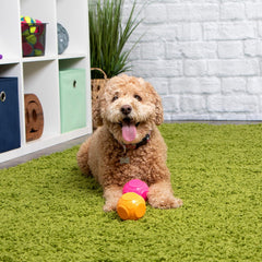 goDog 2-Pack Silent Squeak Ball Dog Toy Set, for Light to Moderate Chewers - Orange/Pink, 2-Pack