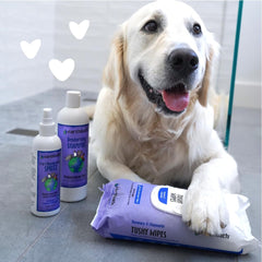 Earthbath Deodorizing Mediterranean Magic Shampoo for Dogs and Cats