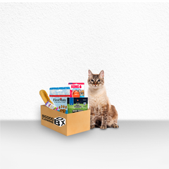 Big Dog Feline Cat Box - Ultimate New Surprising Treat & Toys for Cats Every Time You Order