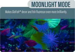 GloFish Aquarium Kit Fish Tank with LED Lighting and Filtration Included