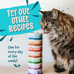 Earthborn Holistic Monterey Medley Grain-Free Moist Cat Food, Beige