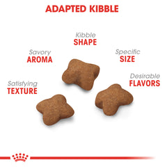 Royal Canin Feline Health Nutrition Kitten Spayed/Neutered Dry Cat Food