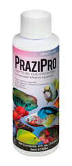 Aquarium Solutions Hikari Aquarium Solutions Prazipro Parasite Treatment