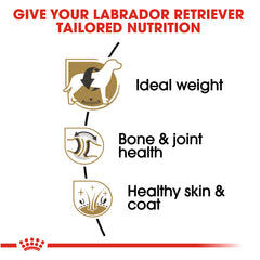 Royal Canin Labrador Retriever Adult Dry Dog Food