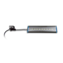 Aquatic Life Reno Freshwater LED Aquarium Light Bar Fixture Strip, 10 Gallon Fish Tank Lighting, 12-inch Clamp, Blue/White