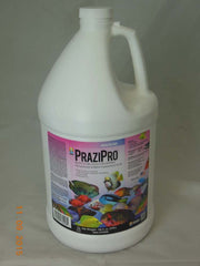 Aquarium Solutions Hikari Aquarium Solutions Prazipro Parasite Treatment
