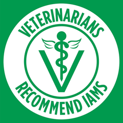 Iams Proactive Health Minichunks with Chicken & Whole Grain Recipe Adult Dry Dog Food