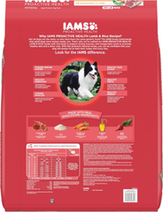IAMS Minichunks Adult Dry Dog Food Lamb & Rice Recipe Dog Kibble