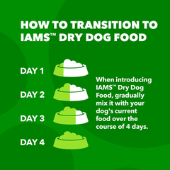 IAMS Minichunks Adult Dry Dog Food Lamb & Rice Recipe Dog Kibble