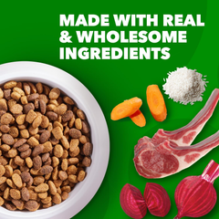 IAMS Minichunks Adult Dry Dog Food Lamb & Rice Recipe Dog Kibble