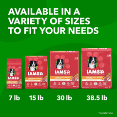 IAMS Minichunks Adult Dry Dog Food Lamb & Rice Recipe Dog Kibble