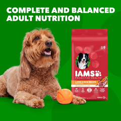 IAMS Minichunks Adult Dry Dog Food Lamb & Rice Recipe Dog Kibble