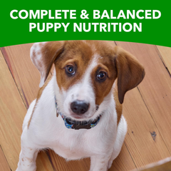 IAMS Proactive Health Smart Puppy Small Breed Dry Dog Food with Real Chicken