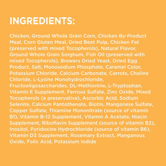 IAMS Proactive Health Smart Puppy Small Breed Dry Dog Food with Real Chicken