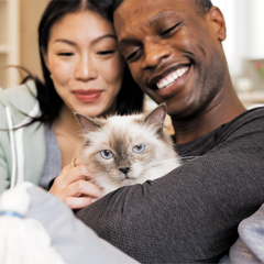 IAMS Proactive Health Adult Sensitive Digestion & Skin Dry Cat Food with Turkey