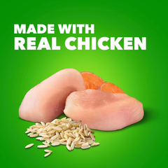 IAMS Proactive Health Adult Wet Dog Food Classic Ground with Chicken and Rice