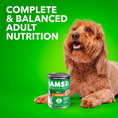 IAMS Proactive Health Adult Wet Dog Food Classic Ground with Chicken and Rice