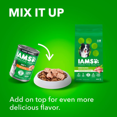 IAMS Proactive Health Adult Wet Dog Food Classic Ground with Chicken and Rice