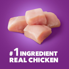 Iams Advanced Health Adult Healthy Digestion Dry Dog Food with Real Chicken