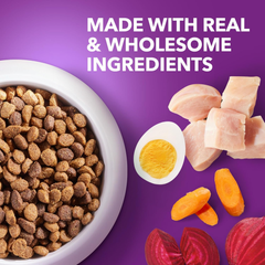 Iams Advanced Health Adult Healthy Digestion Dry Dog Food with Real Chicken