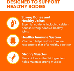 IAMS PROACTIVE HEALTH Healthy Senior Dry Cat Food with Chicken Cat Kibble