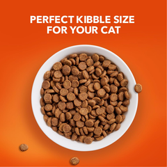 IAMS PROACTIVE HEALTH Healthy Senior Dry Cat Food with Chicken Cat Kibble