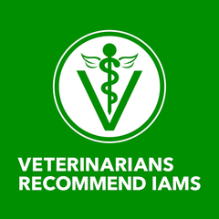 IAMS Proactive Health Adult Wet Dog Food Classic Ground with Lamb and Rice, 13 oz. Cans, Pack of 6