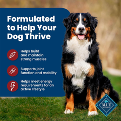 Blue Buffalo Life Protection Formula Adult Dry Dog Food, Helps Build and Maintain Strong Muscles, Made with Natural Ingredients, Beef & Brown Rice Recipe