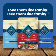 Blue Buffalo Life Protection Formula Adult Dry Dog Food, Helps Build and Maintain Strong Muscles, Made with Natural Ingredients, Beef & Brown Rice Recipe