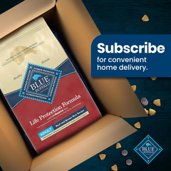 Blue Buffalo Life Protection Formula Adult Dry Dog Food, Helps Build and Maintain Strong Muscles, Made with Natural Ingredients, Beef & Brown Rice Recipe