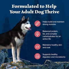 Blue Buffalo Wilderness Adult High-Protein Dry Dog Food with Real Salmon, Grain-Free, Made in the USA with Natural Ingredients, Salmon