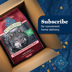 Blue Buffalo Wilderness Adult High-Protein Dry Dog Food with Real Salmon, Grain-Free, Made in the USA with Natural Ingredients, Salmon